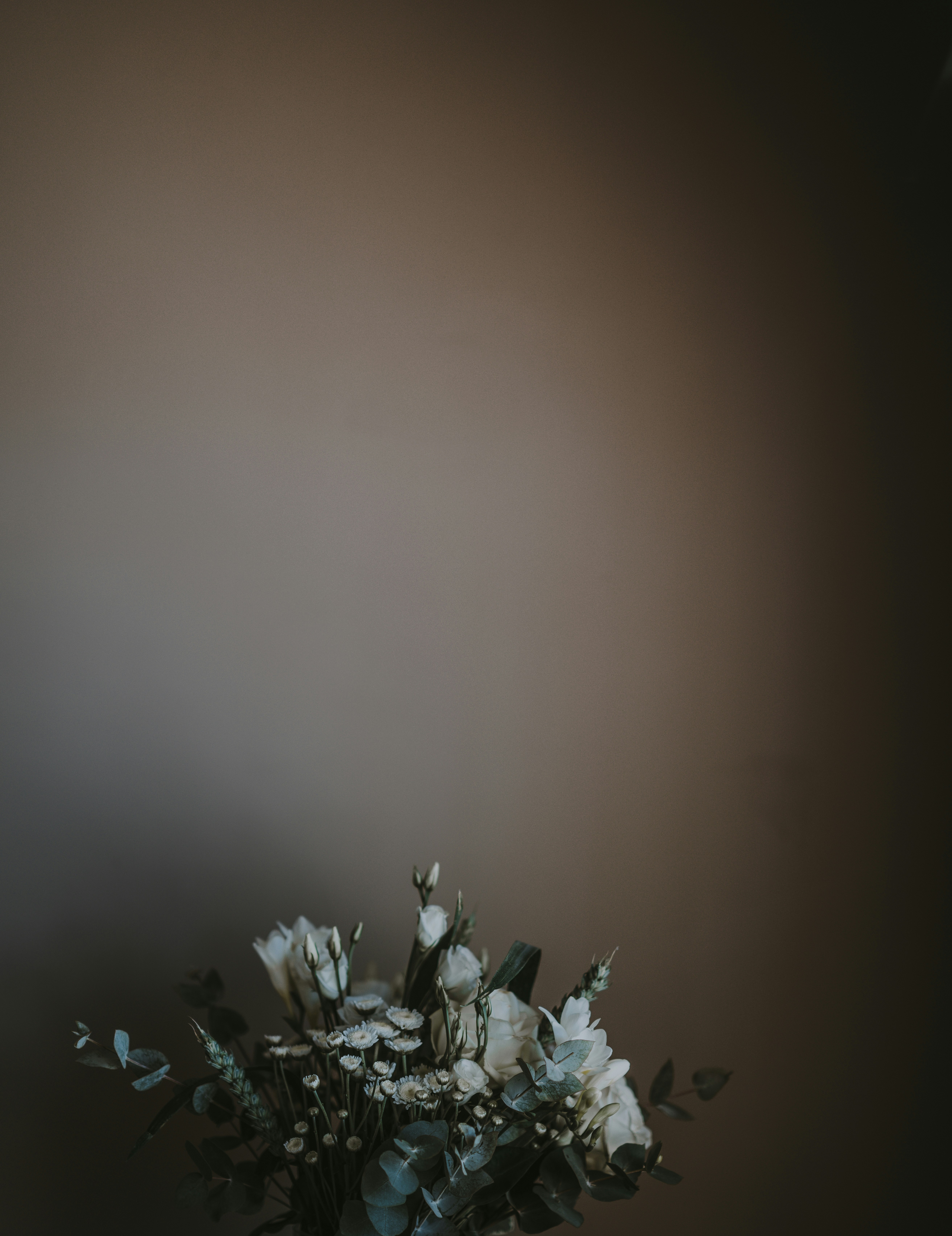 Photo by anniespratt