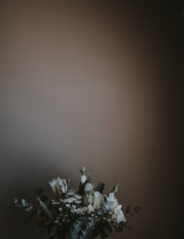 A bouquet of white flowers with green leaves is positioned against a muted, dark background. The arrangement appears delicate and elegant, with a focus on simplicity and natural elements.