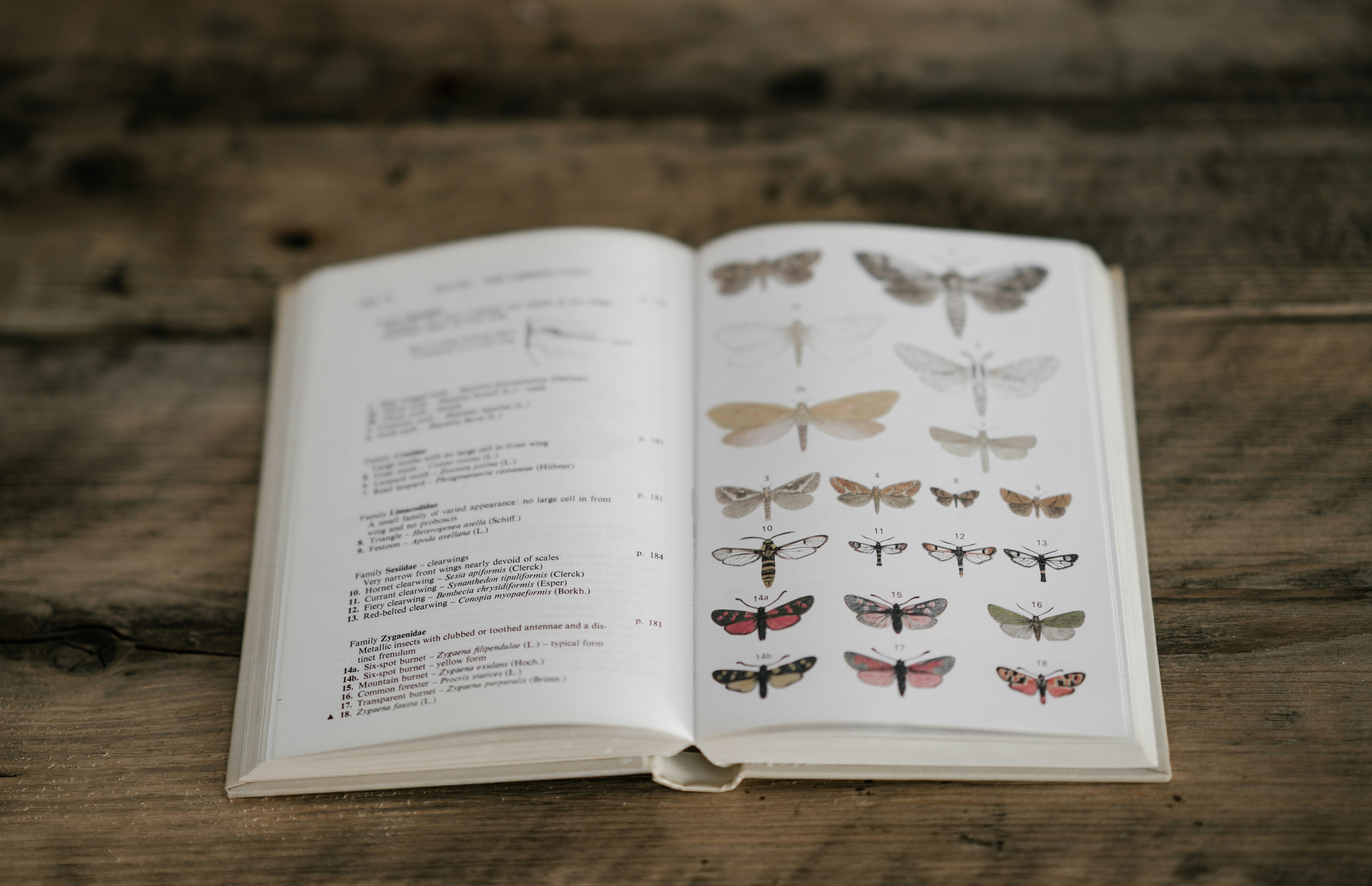 Classifying Systems: A Comprehensive Guide