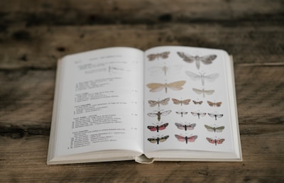 A detailed bird identification guidebook open on a wooden table next to binoculars.