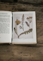An open book resting on a wooden surface, featuring an illustration of botanical drawings on one page with accompanying text on the opposite page. The illustration includes detailed depictions of various plants with leaves and flower heads.