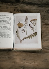 Hand-stitched journal open to a page with a botanical drawing.