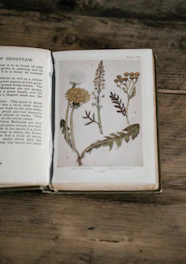 An open book with colorful illustrations of garden plants and tools.