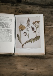 An open book resting on a wooden surface, featuring an illustration of botanical drawings on one page with accompanying text on the opposite page. The illustration includes detailed depictions of various plants with leaves and flower heads.