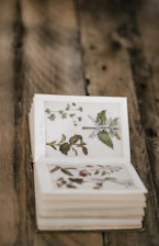 An open book with detailed sketches of ancient artifacts, placed on a rustic wooden table.