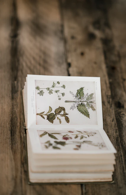 A rustic wooden table displaying an open artist's book with vibrant illustrations