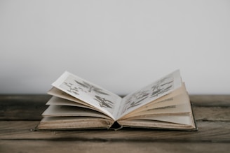 selective focus photography of opened book