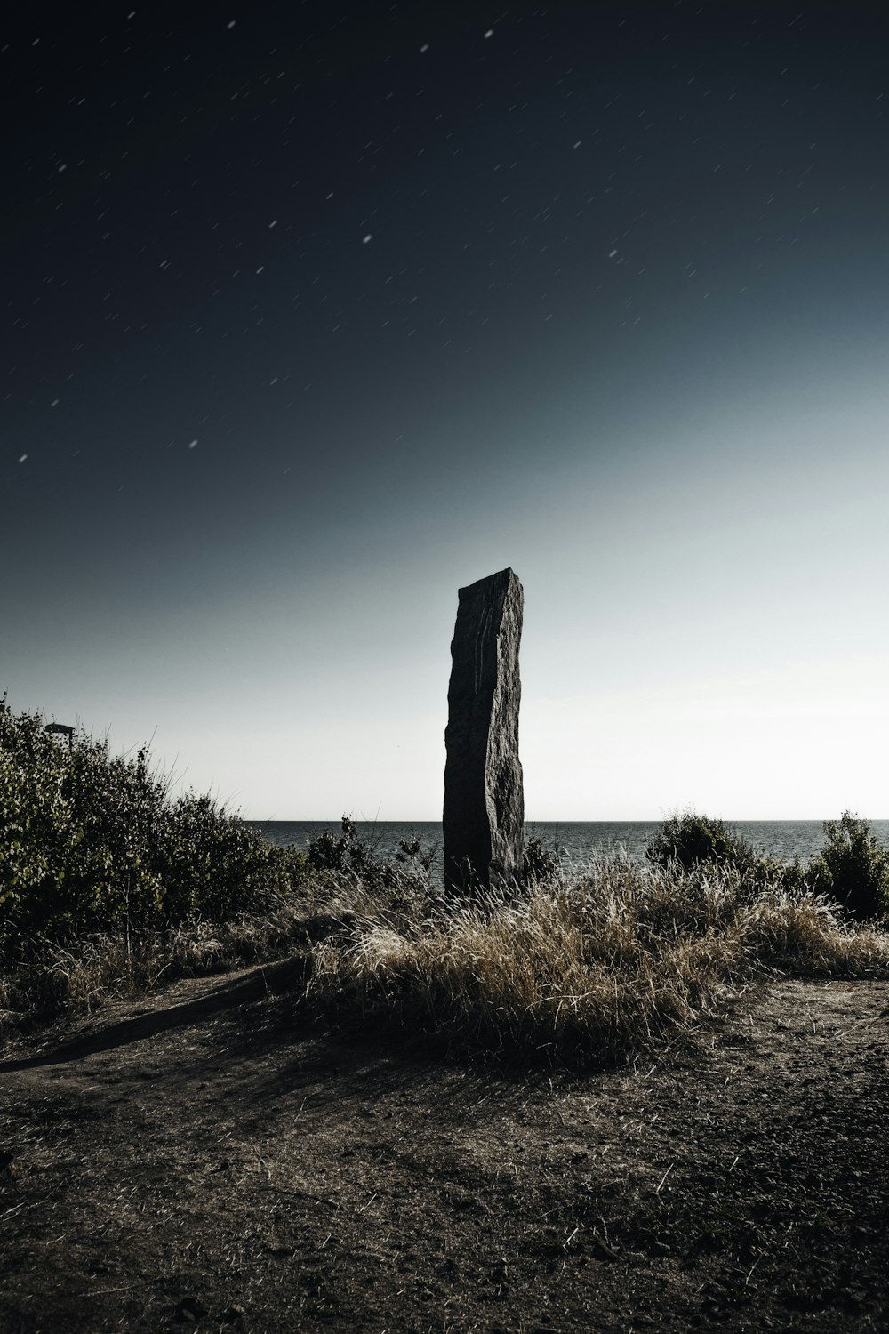 grey stone near brown grass