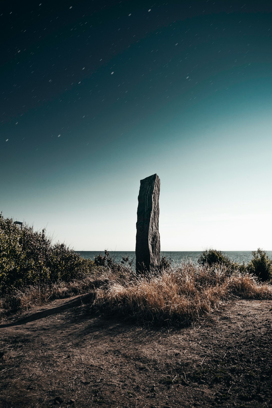 grey stone near brown grass