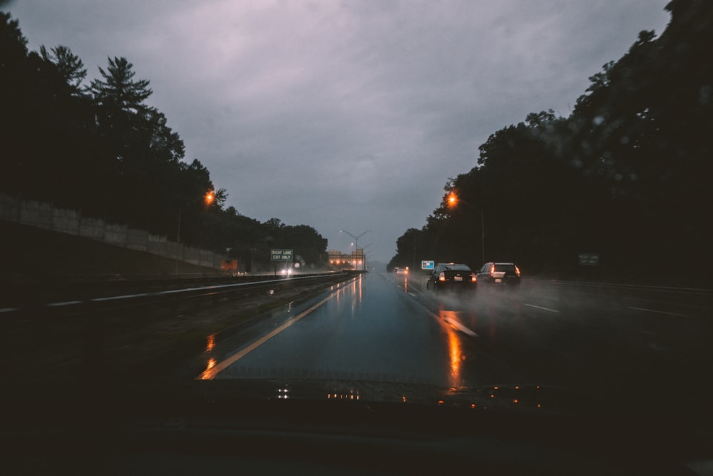 cars on road near trees