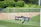 Over-the-shoulder view of a person navigating Verdiva’s website with vivid green animated soccer graphics.