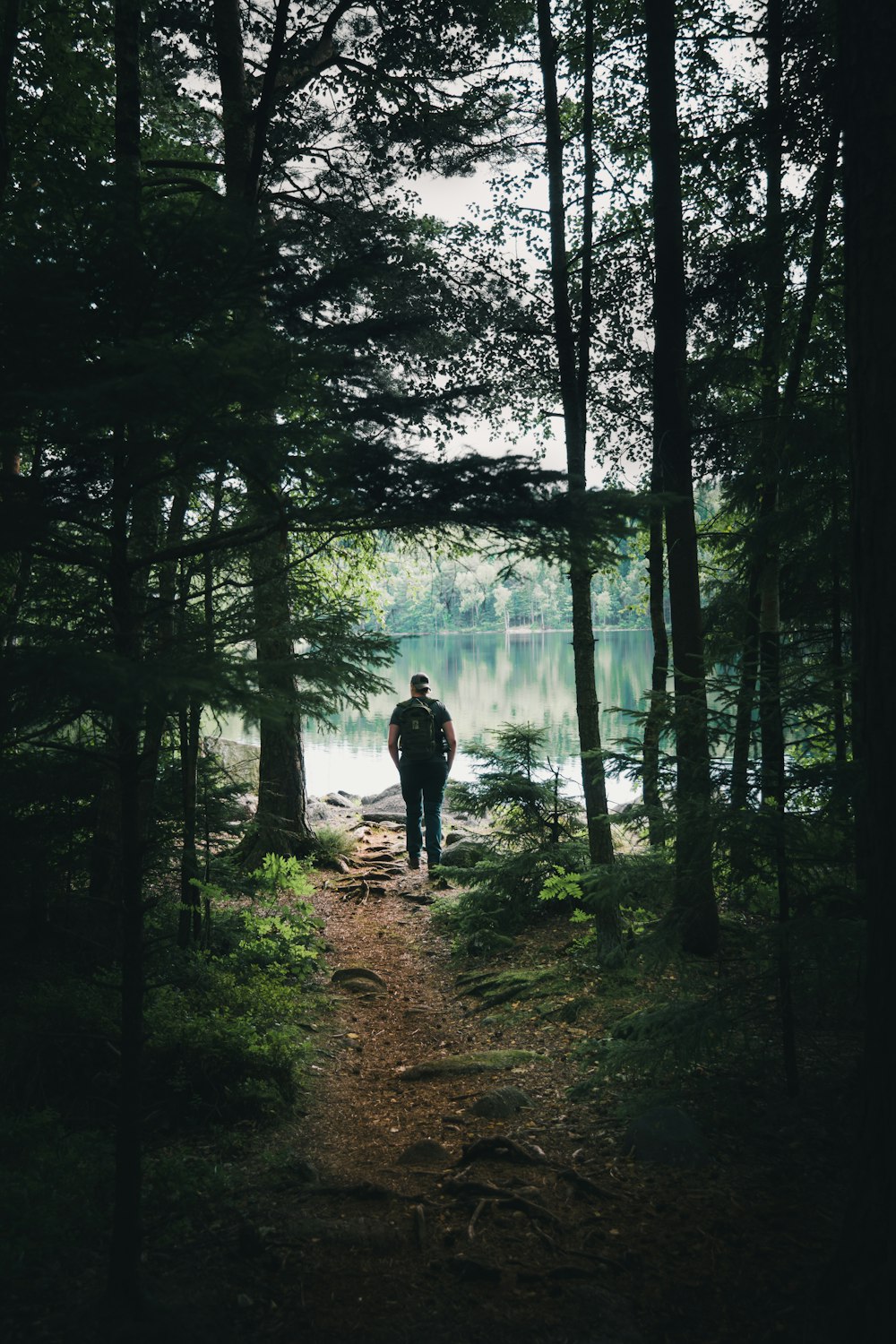 uomo che cammina sulla foresta vicino al lago