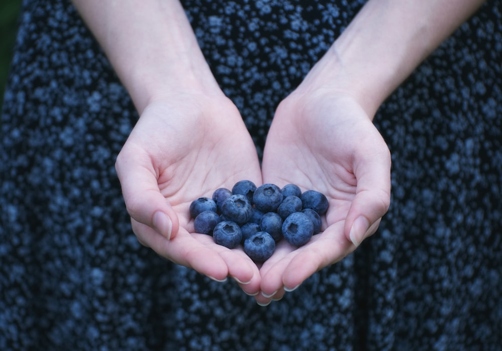 person showing blueberry lot