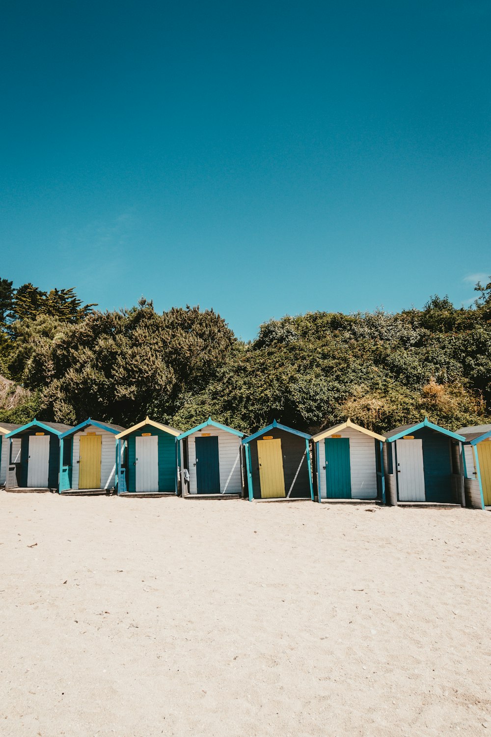 assorted-color shed beside trees