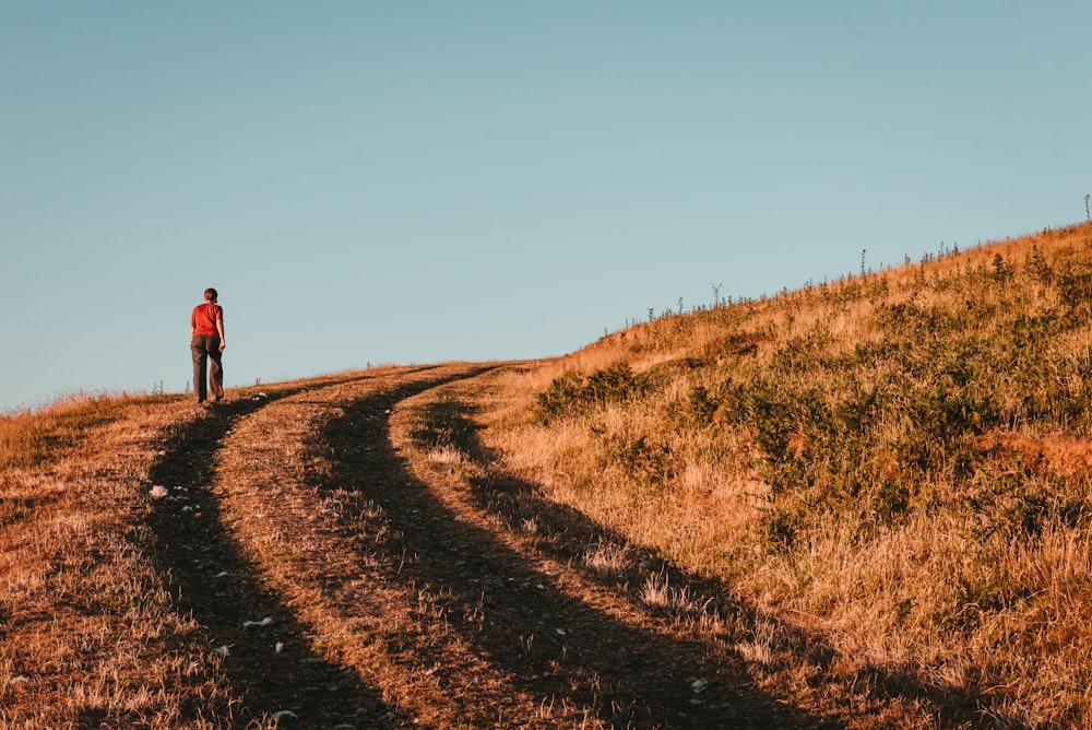 man walking on grass pathway