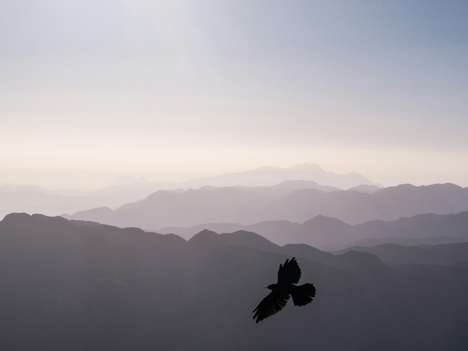 Panasonic Lumix DMC-G5 sample photo. Bird flying over mountains photography