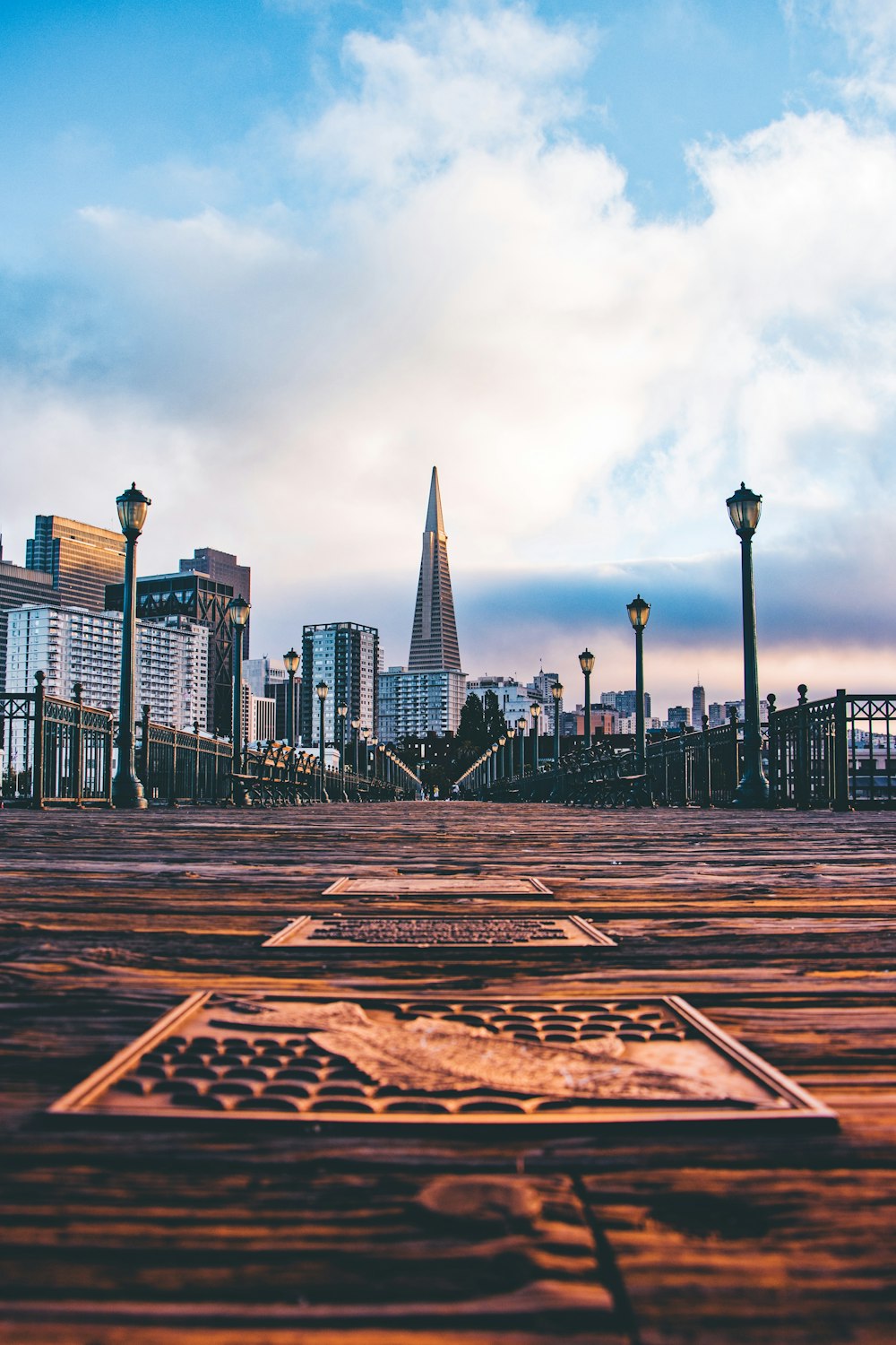 brown wooden bridge