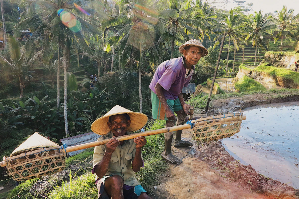 Perkebunan kelapa sawit di Sumatera, sumber utama CPO ekspor ke Uni Eropa