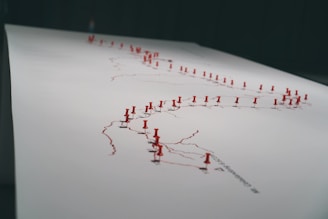 A large sheet of paper is marked with interconnected lines, each intersection punctuated by a red pushpin. The pushpins are densely placed, indicating specific locations, and the lines suggest routes or connections between these points.