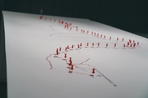 A large sheet of paper is marked with interconnected lines, each intersection punctuated by a red pushpin. The pushpins are densely placed, indicating specific locations, and the lines suggest routes or connections between these points.