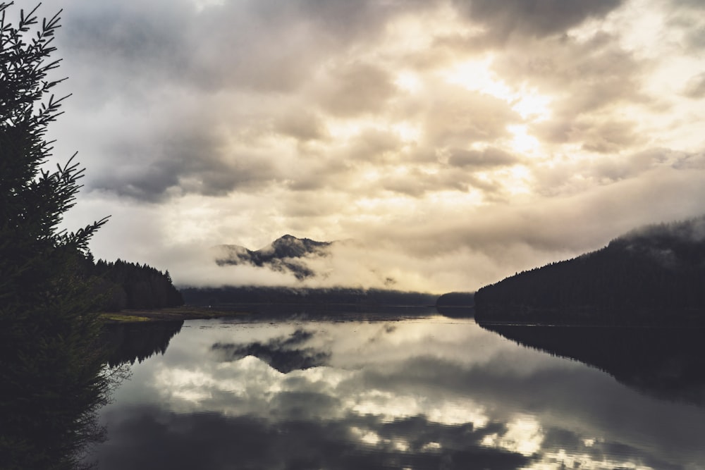 landscape photography of body of water between forest