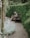 Elderly people enjoying a peaceful outdoor garden surrounded by trees.