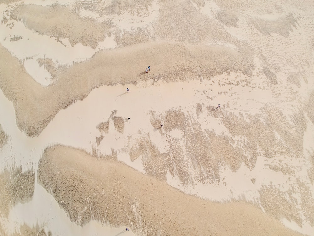 Eine Luftaufnahme von Menschen, die am Strand spazieren gehen