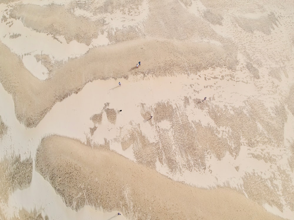 an aerial view of people walking on the beach