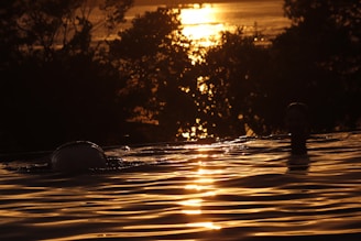 A serene swimming lesson at dawn with soft natural light reflecting on the water.