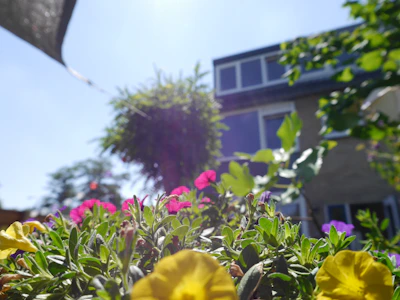 Close-up of colorful flowers in a quaint garden with historic houses behind.
