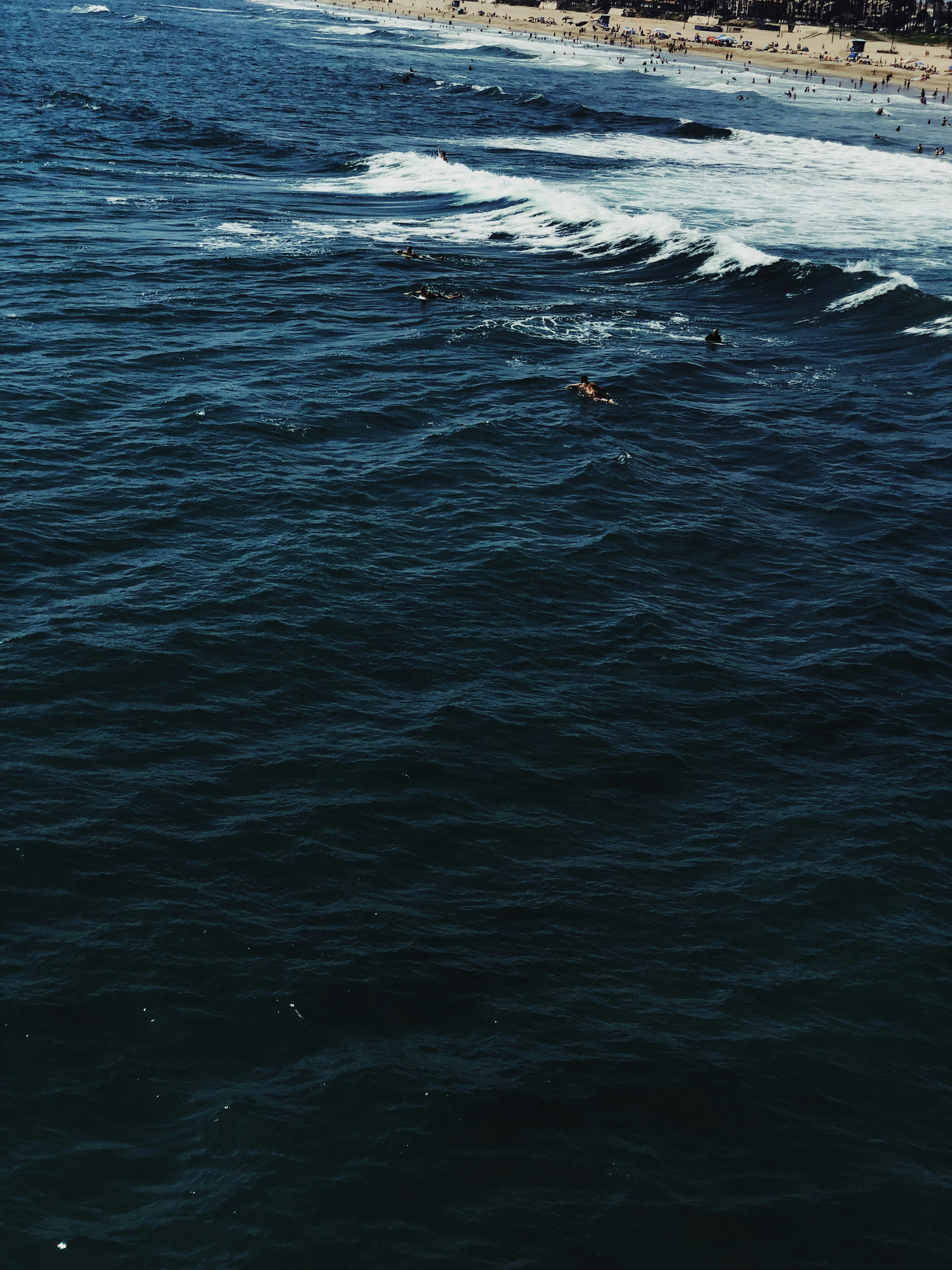 Photo by bradleyziffer