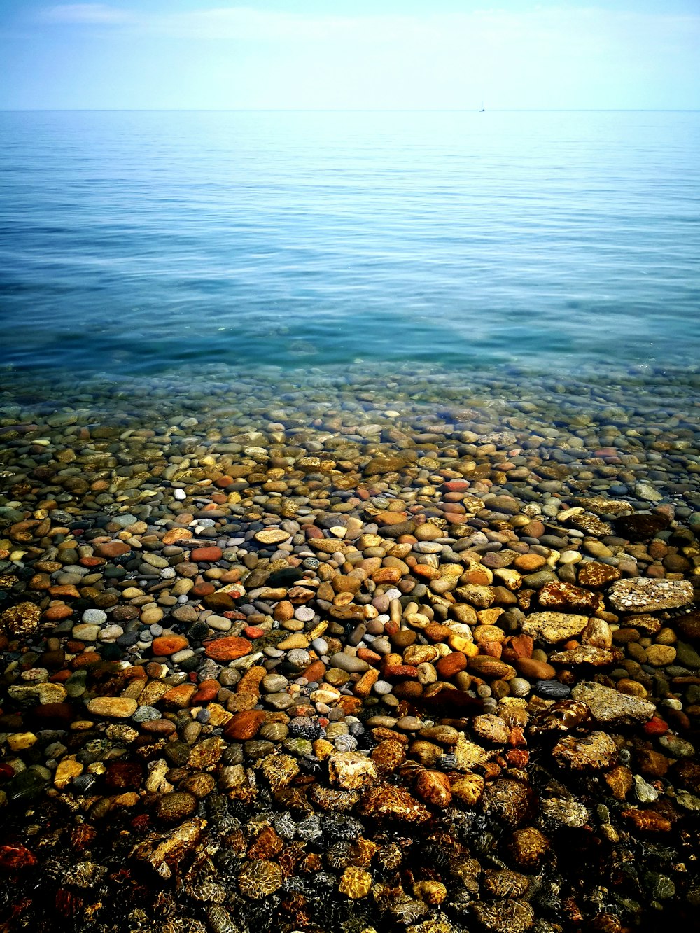 Fotografia Seashore