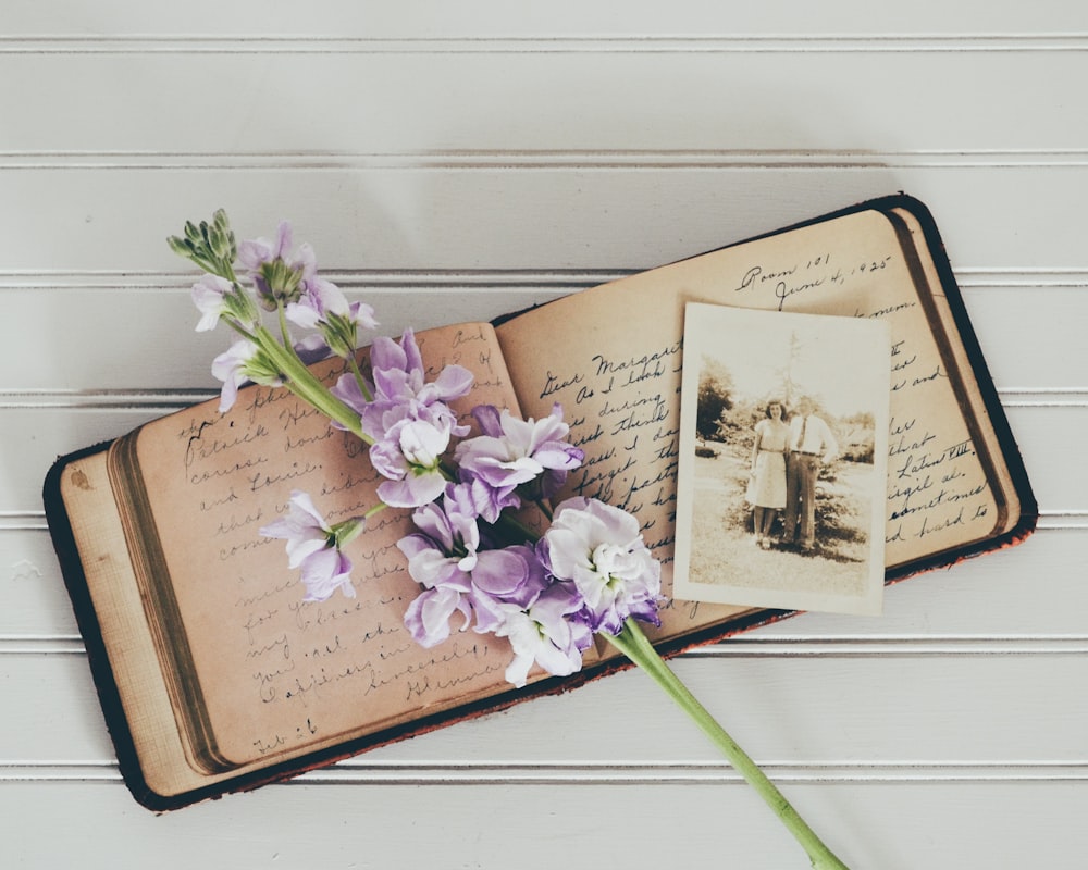 purple flowers on brown open book