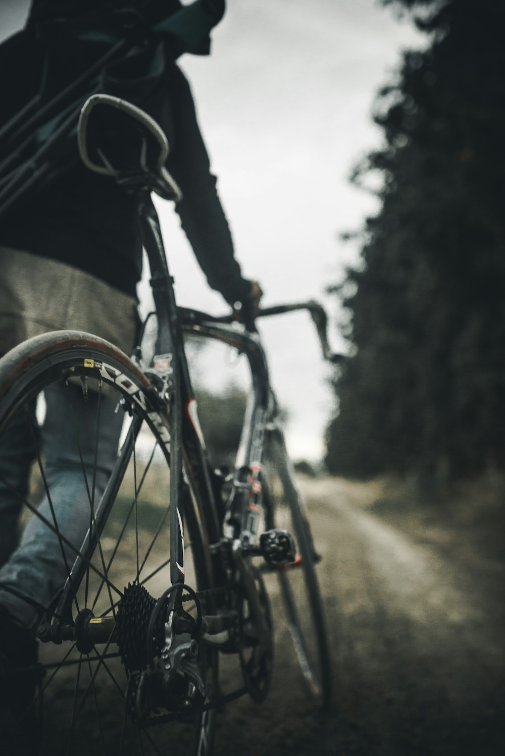 selective focus photography of person holding gray road bike on road