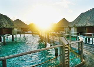 brown wooden dock between houses