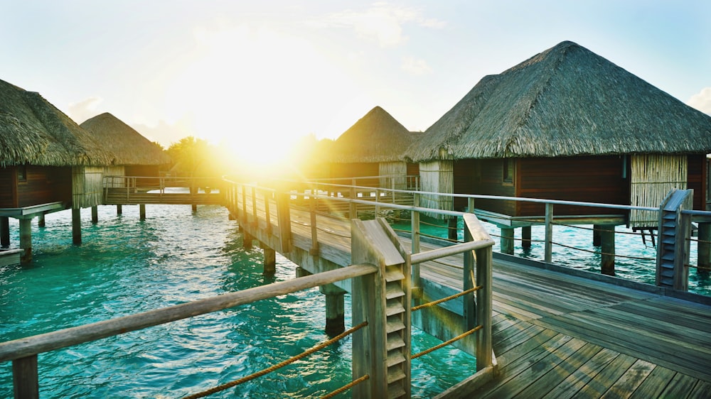 brown wooden dock between houses