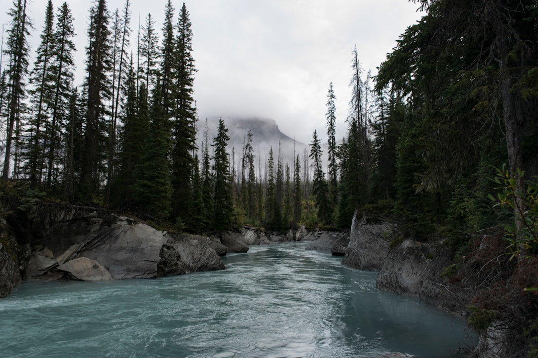 Mountain river photo spot Vermilion Crossing Takakkaw Falls