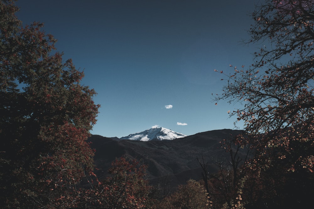 montanha coberta de neve sob o céu azul claro durante o dia