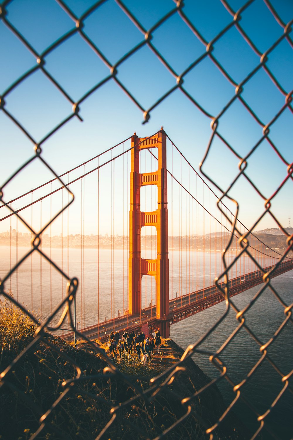 architectural photography of bridge