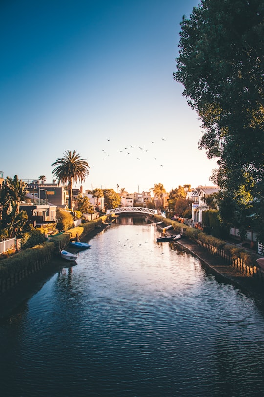 river photo in Venice United States