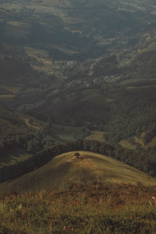 Parc naturel régional des Volcans d'Auvergne things to do in Le Mont-Dore