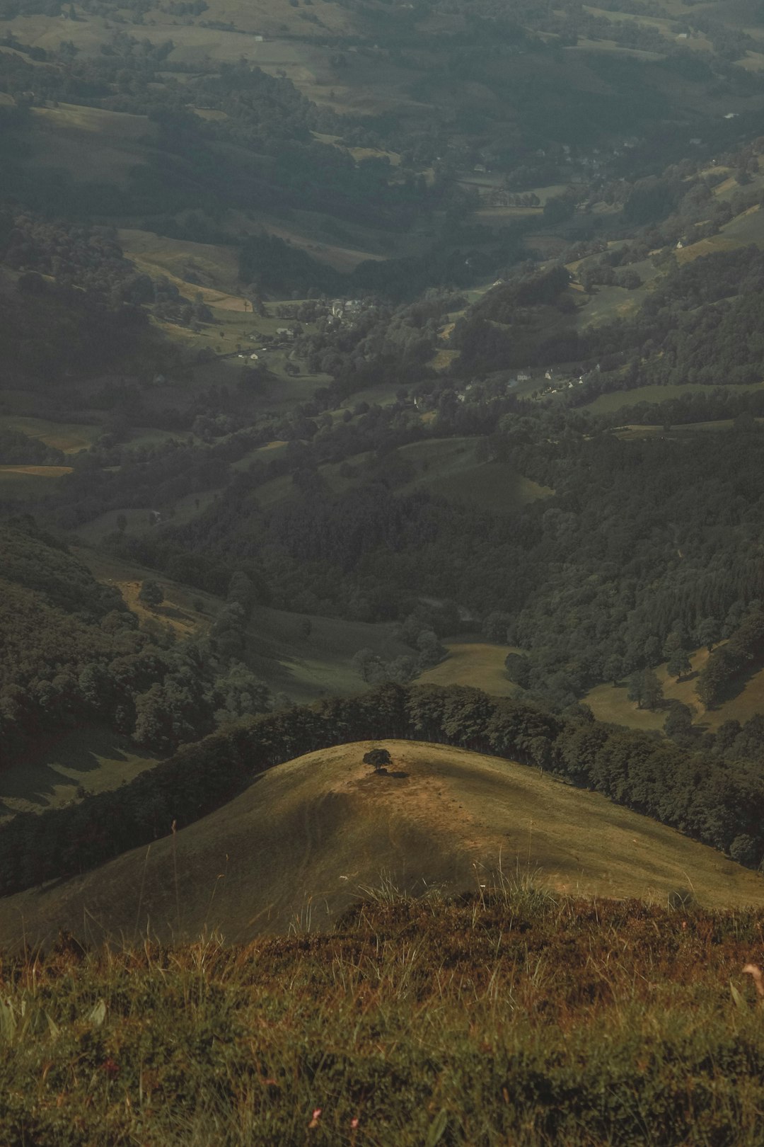 Hill photo spot Parc naturel régional des Volcans d'Auvergne France