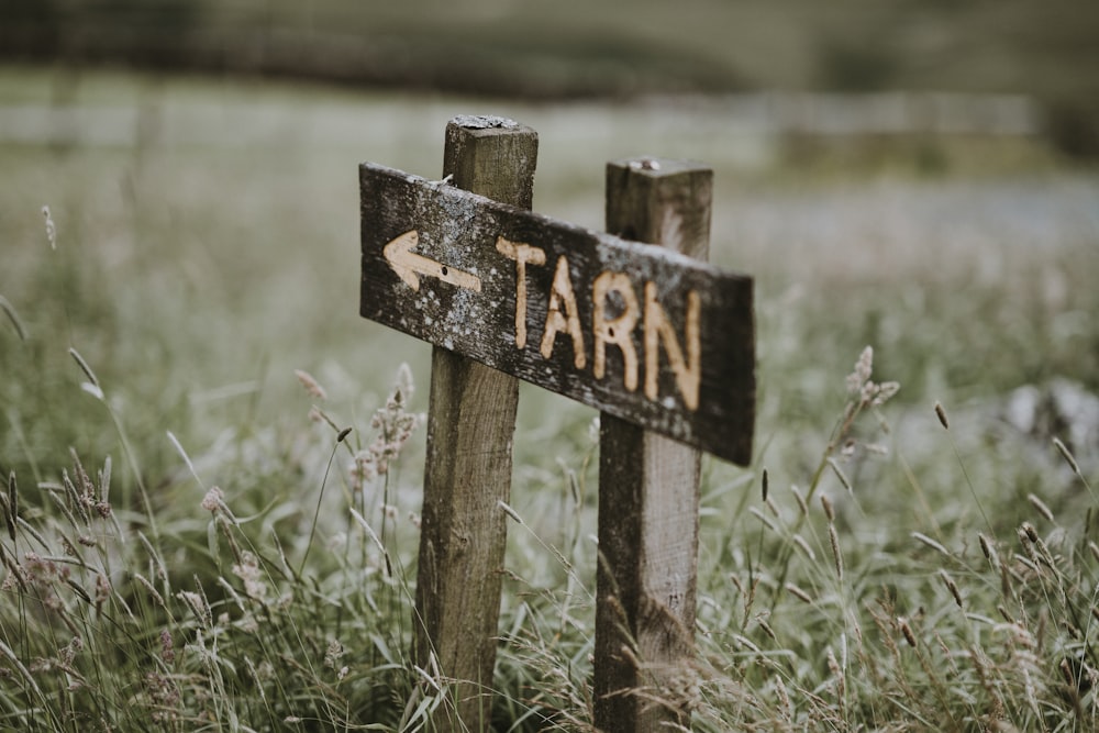 brown wooden Tarn signage on grass field