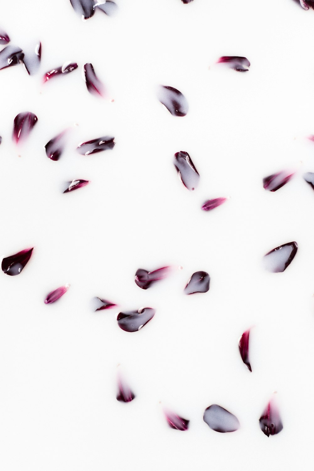 a bunch of petals floating on top of a white surface