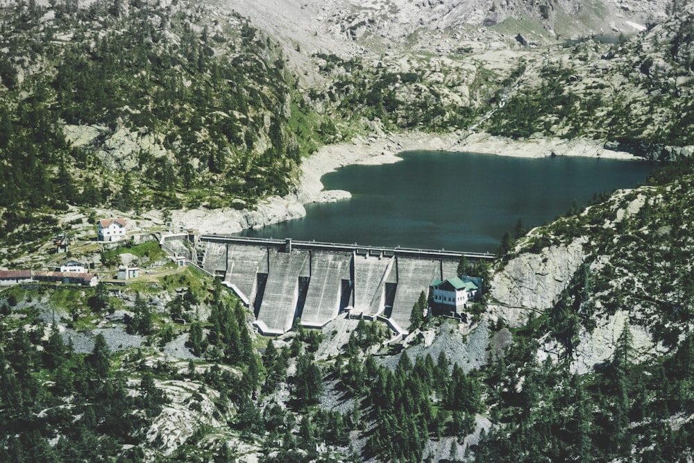 body of water surrounded by trees