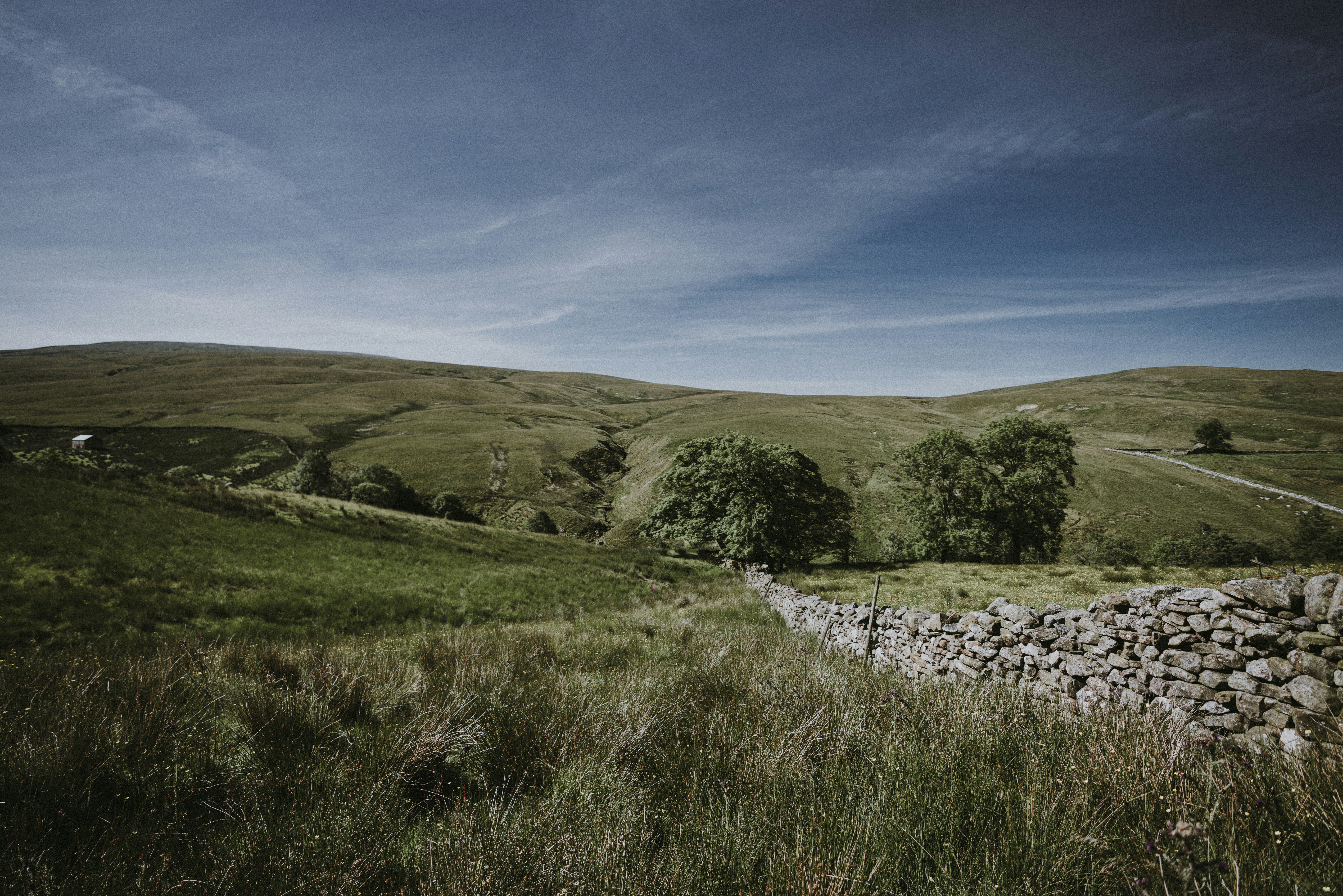 Photo by anniespratt