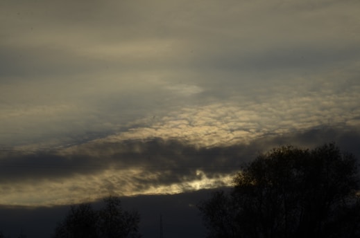 Dark, moody sky with layered clouds, some appearing illuminated by faint light, contrasting against silhouetted trees in the foreground.