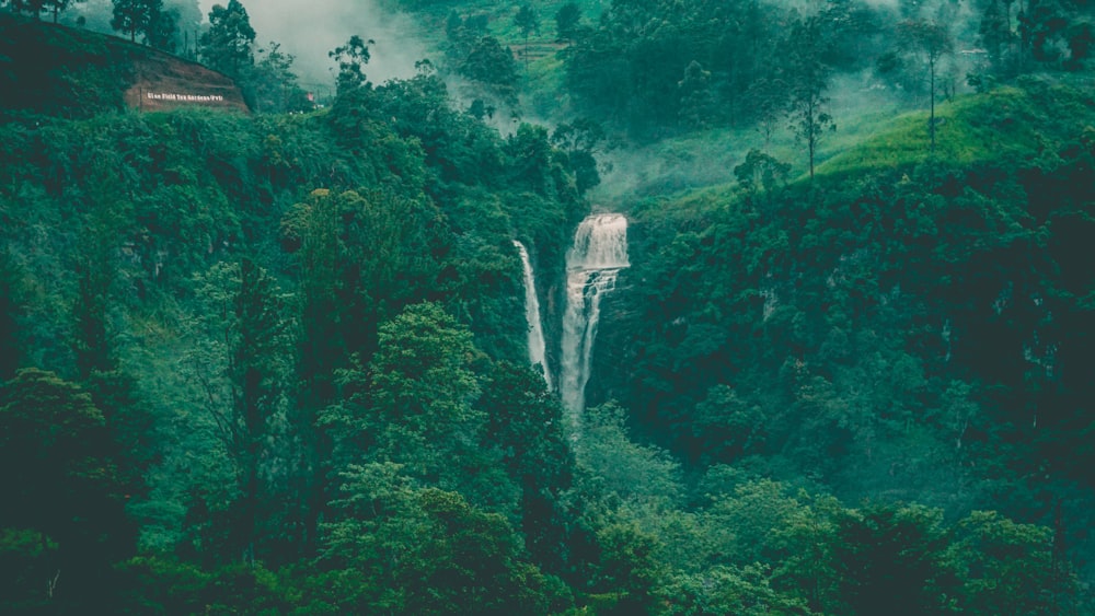 waterfalls in forest during daytime