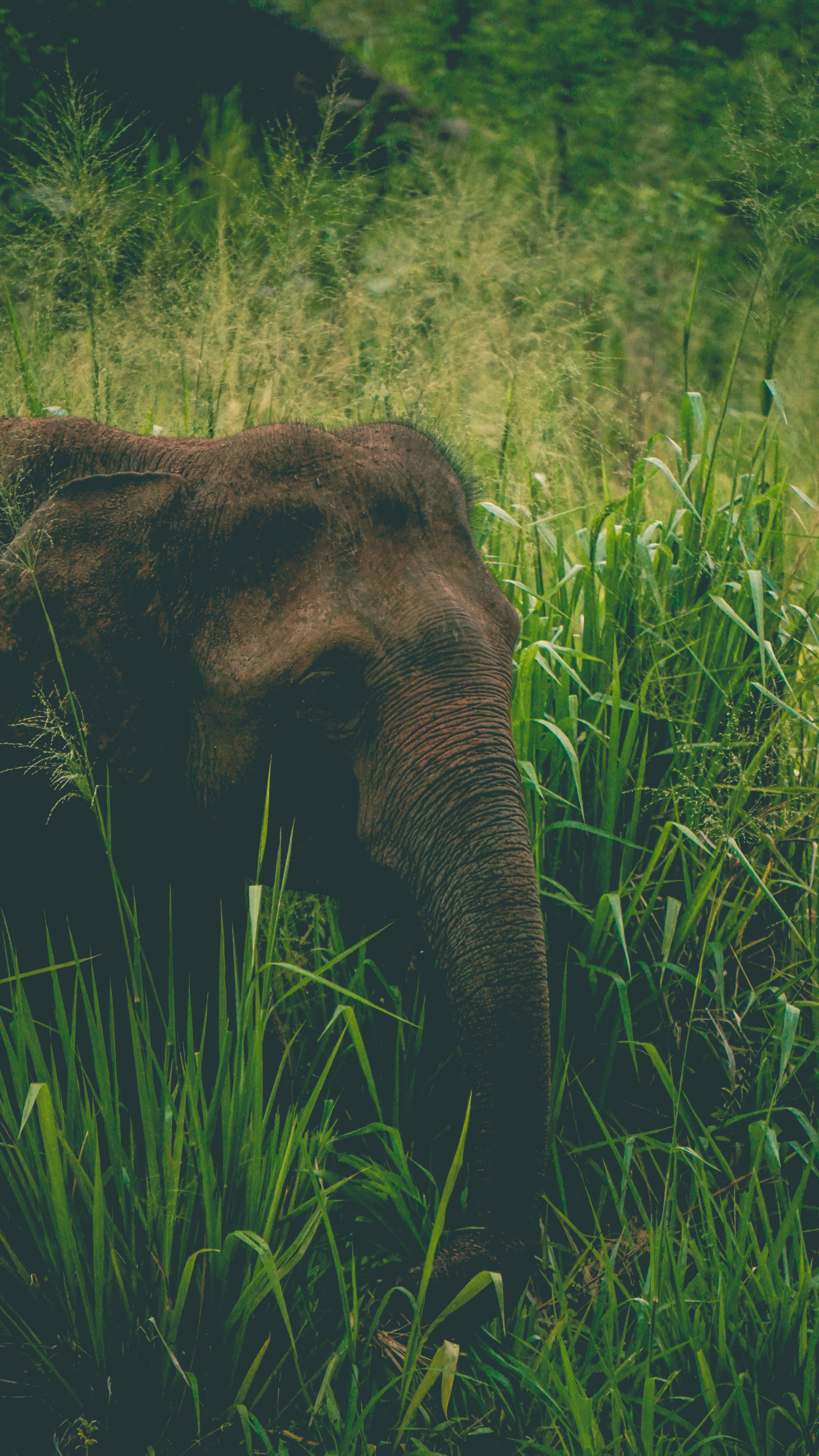 Photo by jehuchristan