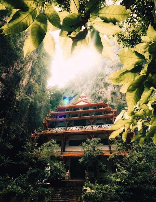 photo of Sam Poh Tong Temple Jungle near Cameron Highlands